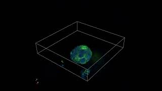 Gastric Organoid 3D Imaging of Pan Cytokeratin [upl. by Hezekiah]