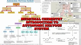 8 Medicinal Chemistry 1 Introduction to Autonomic nervous system and sympathetic drugs [upl. by Grenville736]