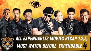 Complete Expendables movies recap in Hindi 123 MUST watch before Expendables 4 [upl. by Meir251]