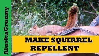 Make Squirrel Repellent For Gardens [upl. by Adnolrehs993]