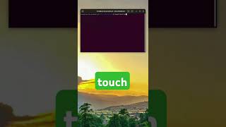 Linux for Beginners Lesson 6 Creating an Empty File with Touch linux opensource [upl. by Spohr75]
