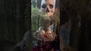 💀 DIY Skull Topiaries 💀 [upl. by Naylor]