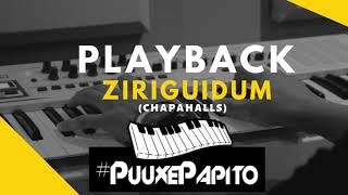 Playback ziriguidumchapahalls [upl. by Ogilvie]