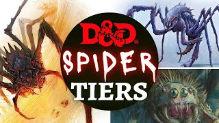 DampD MONSTER RANKINGS  SPIDERS [upl. by Gnot]