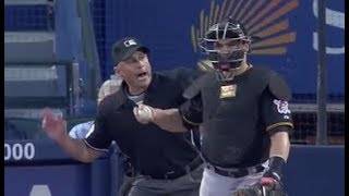 Umpires Overreacting [upl. by Elliven]