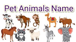 Pet Animals Name  Pet Animals Name In English  Learning videos totto kidoos [upl. by Westmoreland]