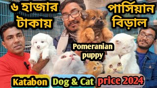 Katabon animal market in bangladeshKeeshond dogPomeranian dog Persian Cat Dog and cat price 2023 [upl. by Roselba673]