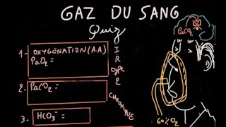 Gaz du sang  Quiz  Partie 3  12  Docteur Synapse [upl. by Reynold]