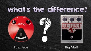 Whats The Difference Jim Dunlop Fuzz Face and Electro Harmonix Big Muff [upl. by Aridaj]