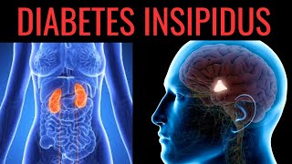 What is Diabetes Insipidus Symptoms Causes Treatment [upl. by Nurat]