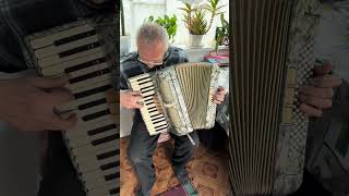 Accordion Rhuthmus 34 accordion 80 Bass 34 keys 3 voices 53 register Germany accordion SALE [upl. by Uolymme]