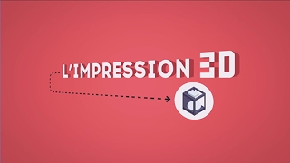 Comment fonctionne l’impression 3D [upl. by Oilalue]