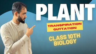 Excretion In Plants  Transpiration  Guttation  Class 10th Biology  Basharat Ali Lectures [upl. by Erreipnaej]