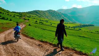 travel video  Minoodasht in Golestan province  Iran 4k سفر به دره چهل چای استان گلستان [upl. by Rudolph]