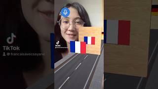 フランス語でできるのか！flagchange フランス語 french [upl. by Yorgo]