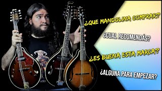 ¿Qué mandolina comprar  Mandolinas Económicas  En Mandolina [upl. by Nahtonoj]