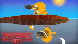 Zig amp Sharko ☀️🌙 STRANGER ZIG SEASON 1 Cartoon for kids [upl. by Frodine]