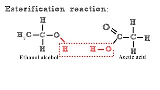 Esterification Reaction [upl. by Kalle]