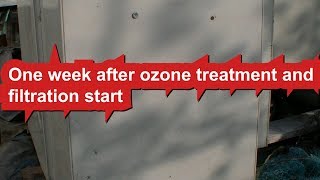 Рond after ozone treatment  a week later [upl. by Ykcim]