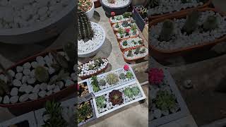 Glasshouse Part1Kalaignar centenary parkkalaingercenteneryparksemmozhipoonga chennai [upl. by Sabas]