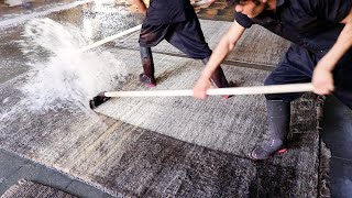 Hard Rug Cleaning ASMR  Persian Rug Cleaning Satisfying [upl. by Kama]