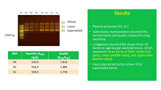 Plasmids Extrachromosomal Circular DNA used in Cloning [upl. by Ogg]