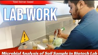 Microbial Testing of Soil Sample  Microbial Analysis Media PreparationUse of PipetteDilution [upl. by Atikim632]