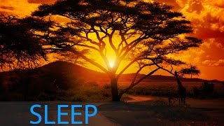 8 Hour Delta Waves Sleep Music Relaxing Music Calming Music Soothing Music Soft Music ☯346 [upl. by Nerro]