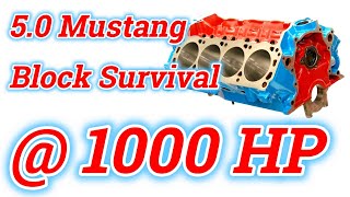 302351 Ford OE blocks  how to make them live even at 1000 hp [upl. by Freida107]