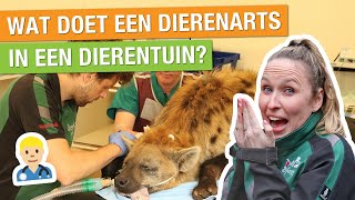 DAG MEE MET DE DIERENARTS VAN ONS DIERENPARK 🤩  ZO WORD JE DIERENARTS  Carlijns Dierenvraag 34 [upl. by Alien428]