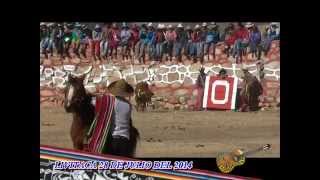 Corrida de toros Livitaca  28 de Julio 2014  Producciones quotEl Livitaqueñoquot [upl. by Aicylla]