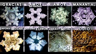 Documental Mensajes del Agua Dr Masaru Emoto [upl. by Orpah]