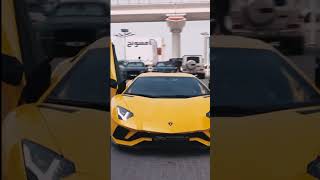 Gaddi Lamborghini Peele Rang De song shorts shortsindia lamborghini [upl. by Ana]