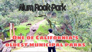 Alum Rock ParkOne of California’s Oldest Municipal ParksSan Jose California [upl. by Gnak405]