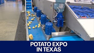 Potato Expo highlights all things potatoes  FOX 7 Austin [upl. by Shwalb]