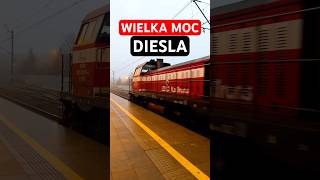 Wielka moc diesla Orlen KolTrans Newag 15D109 pociągi trainshortvideo cargotrain  listopad 2024 [upl. by Ayotl548]