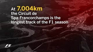 2017 Belgian Grand Prix  F1 Fast Facts [upl. by Fischer889]