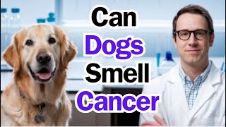 Can Dogs Really Detect Illness in Humans [upl. by Athalie510]