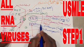 USMLE How to Remember All RNA VIRUSES  UPDATED VERSION  By USMLE BOOSTER MD [upl. by Eliath460]