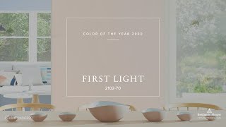 Color of the Year and Color Trends 2020  Benjamin Moore [upl. by Nevek]