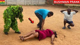 😂😂😂 The Most Watched Videos In 2024 BUSHMAN PRANK SPECIAL [upl. by Ahserak429]