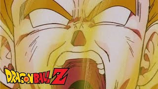 Dragon Ball Z The Ultimate Review  The Saiyan Saga [upl. by Renruojos941]