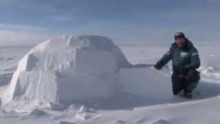 Kids Igloo  Frozen Oceans  Arctic [upl. by Maison]