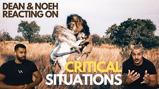 Critical situations with Lions  Dean Schneider [upl. by Anialeh]