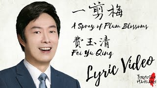 一剪梅 A Spray of Plum Blossoms  费玉清 Fei Yu Qing  Chinese  Pinyin  English Lyrics 歌詞 [upl. by Dodi]