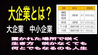 大企業 中小企業とは⁈置かれた場所で咲く生き方。 [upl. by Navoj]