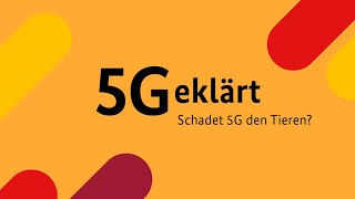 Schadet 5G den Tieren  5Geklärt  Folge 6 [upl. by Enej19]