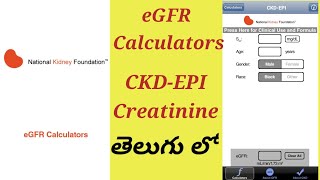 e GFR Equation test Process In Telugu  CKDEPI Creatinine [upl. by Sivehc]