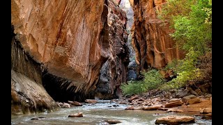 Hiking the Narrows at Zion National Park [upl. by Adalheid]