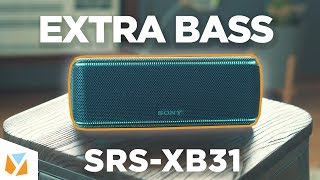 Sony EXTRA BASS SRSXB31 Bluetooth Speaker Review [upl. by Nirrek]